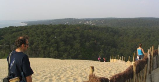 El bosque de las Landas visto desde la duna de Pyla. A la izquierda el Océano