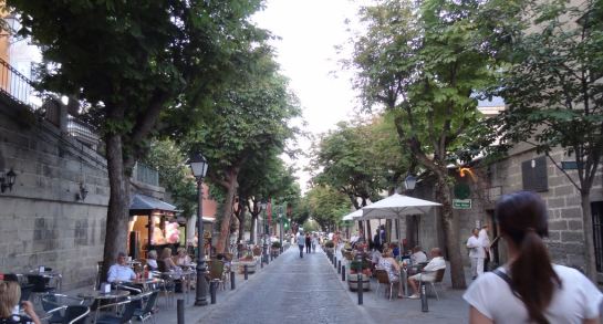 La principal calle comercial del pueblo